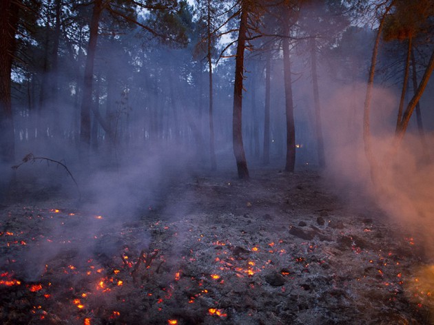 На территории Краснодарского края  с 14 ноября 2019 года установлен особый противопожарный режим